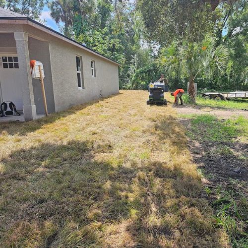 Under Brushing in Victoria Park, FL