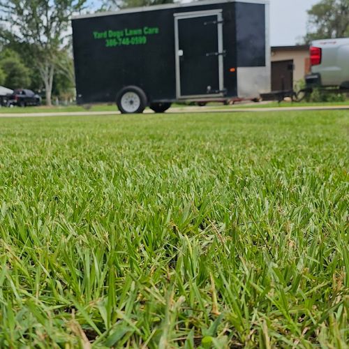 Landscaping in Victoria Park, FL