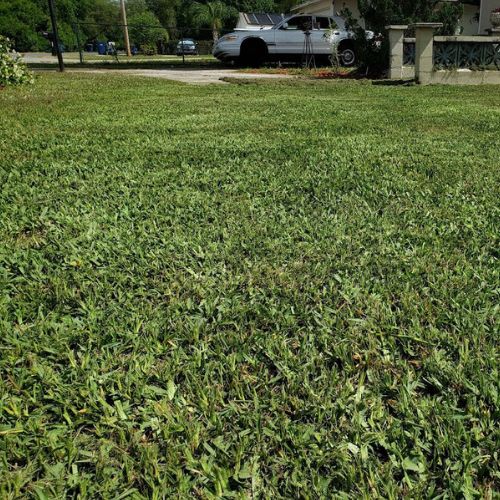 Lawn Maintenance in Victoria Park, FL