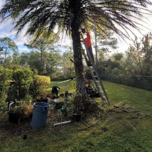 General Landscaping in Victoria Park, FL