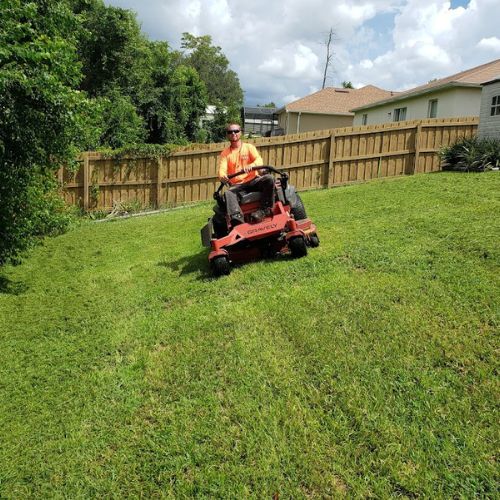 Lawn Maintenance in Victoria Park, FL