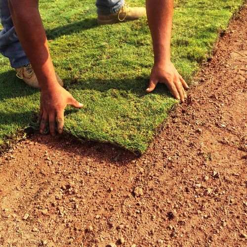 Sod Installation in Victoria Park, FL